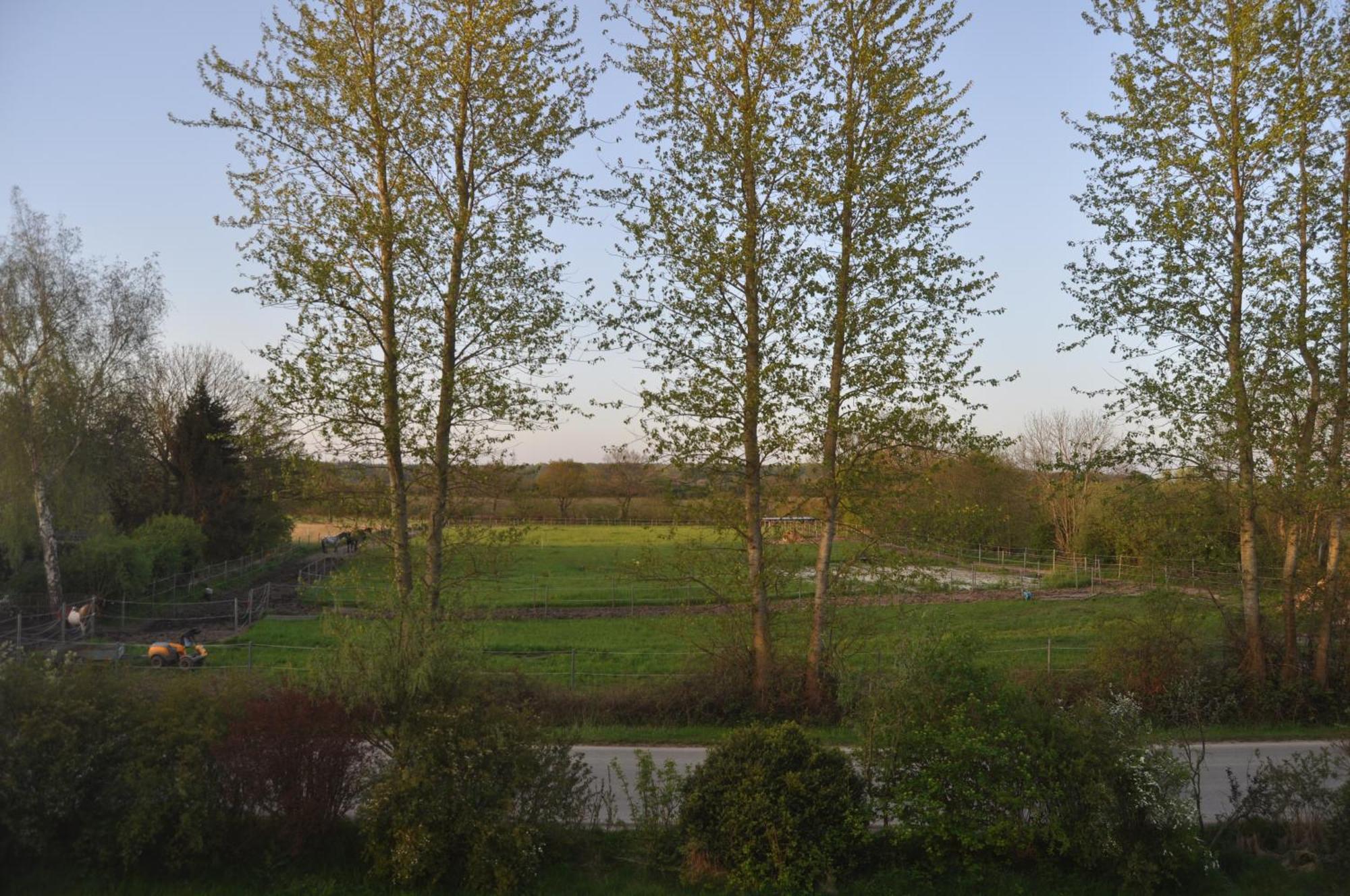 Ferienwohnung Kleiner Und Grosser Stern Stoltebüll Extérieur photo